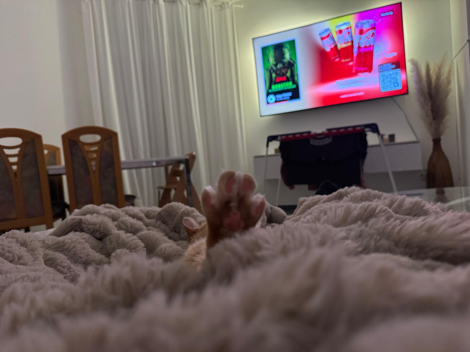 Trash-TV-Abend im Bett